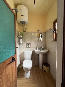 a small bathroom with a toilet and a sink at Guest House Shtëpiza Theth in Theth