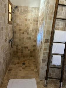a bathroom with a shower with a toilet at Chambre bergerie privée in Sartène +9 photos