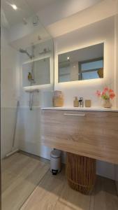 a bathroom with a sink and a mirror at Tulipa Near Beach & Dunes with Free Parking in Noordwijkerhout
