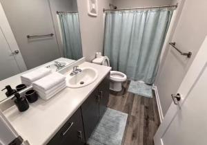 a bathroom with a sink and a toilet and a shower at Olive Oasis in Des Moines +19 photos