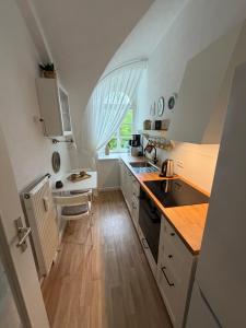 a kitchen with a sink and a counter top at Gipfelglück Sebnitz Apartment in Sebnitz
