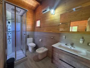 a bathroom with a toilet and a shower and a sink at La Baita Del Bosco in Albano di Lucania +28 photos