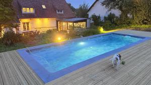 a dog standing in front of a swimming pool at La Plonploniere in Aix-en-Issart