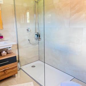 a shower with a glass door in a bathroom at Chalet Mountain Lodge in Kandersteg +47 photos