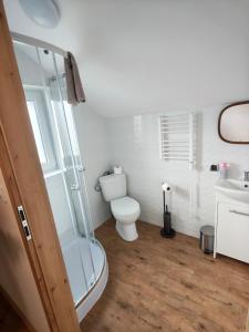 a bathroom with a toilet and a shower and a sink at Apartament Bliżej Nieba in Bącza