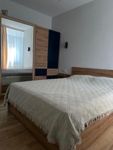 a bedroom with a large bed with a large mirror at Batumi in Stantsiya Batumi-Passazhirskaya