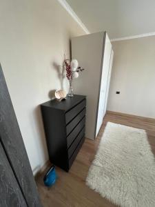 a room with a black dresser and a mirror at Deividas apart in Vilnius +2 photos