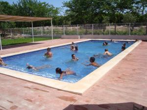 a group of people swimming in a swimming pool at El Mas de Xetà in Luchente