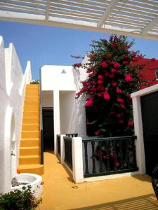 a building with a tree with red flowers on it at JIBARI, riad luminoso con patio en la medina de Asilah in Asilah