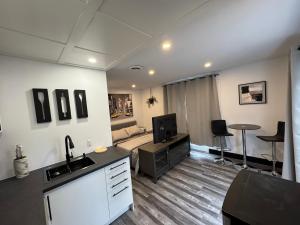 a living room with a kitchen and a couch at Studio Moderne Chic Gatineau Ottawa in Gatineau
