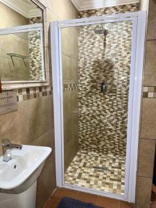 a bathroom with a shower and a sink at Be Our Guest Accommodation in Klerksdorp
