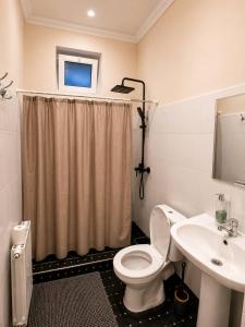 a bathroom with a toilet and a sink at SAM GREEN HOUSE Hostel in Samarkand +11 photos