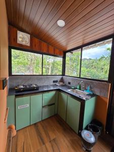 a kitchen with green cabinets and a sink and windows at River Portico in Tenmalai
