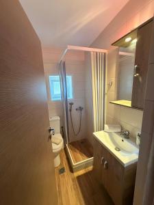 a bathroom with a shower and a toilet and a sink at Villa Elena ΝΕΑΠΟΛΗ ΒΟΙΩΝ in Áyioi Apóstoloi +46 photos