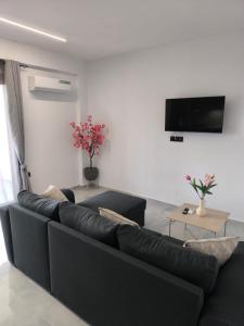 a living room with a black couch and a flat screen tv at Fanari Meltemi Apartment in Fanari