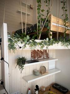 a shelf with potted plants on top of it at Airport Moonlight Tallinn in Tallinn