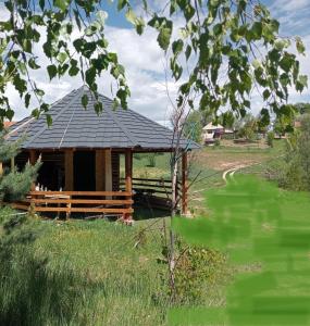 a small building with a black roof in a field at Maria - Brebu Nou in Brebu Nou