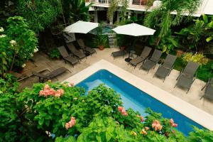 an overhead view of a swimming pool with flowers and umbrellas at Wide Mouth Frog Quepos in Manuel Antonio
