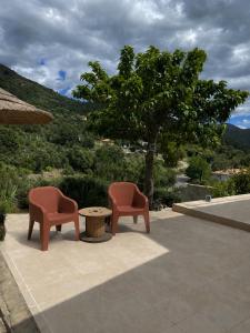 two chairs and a table on a patio with a tree at Domaine Saveria in Ponte-Leccia