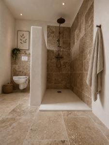 a bathroom with a shower with a toilet and a sink at Domaine Saveria in Ponte-Leccia