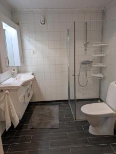 a bathroom with a shower and a toilet and a sink at Leilighet på Voss in Vossevangen