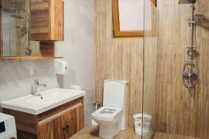 a bathroom with a sink and a toilet and a shower at Sharr Mount in Prizren