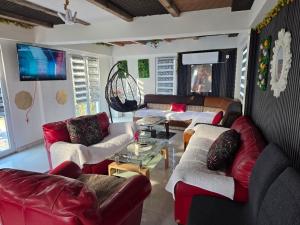 a living room with couches and a tv at Vila Darkoni2 in Bijeljina