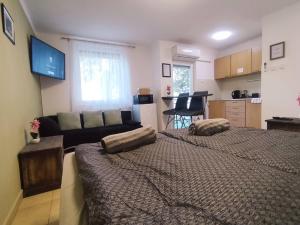 a bedroom with a large bed and a couch at Erkel apartman in Harkány
