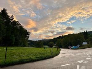 a road with a field and a cloudy sky at Modern apartment with garden in Lostorf