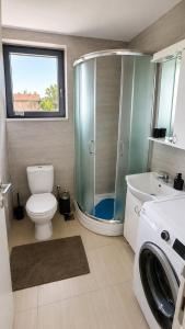 a bathroom with a shower and a toilet and a sink at Šumadijski Pogled in Pružatovac