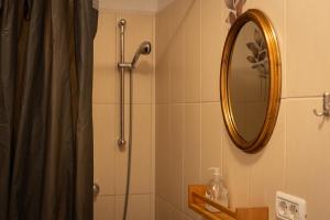 a bathroom with a shower and a mirror at Štanjelski Razgledi AR in Štanjel +27 photos