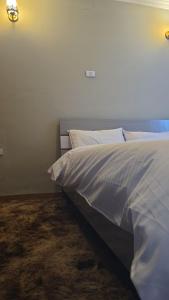 Gallery image of Sam's Fully Furnished 3 bed room Apartment in Addis Ababa