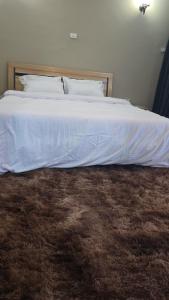 Gallery image of Sam's Fully Furnished 3 bed room Apartment in Addis Ababa +7 photos