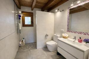 a bathroom with a toilet and a sink and a mirror at La Era de Lardiés in Lardiés