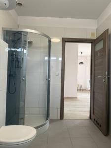 a bathroom with a glass shower and a toilet at Wenecja Apartment in Wadowice