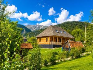 a house in a field with mountains in the background at Casa WEZLY in Măgura