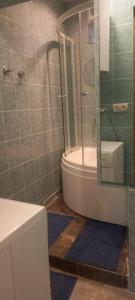 a bathroom with a shower and a tub and a sink at Royal Telavi in Telavi +36 photos