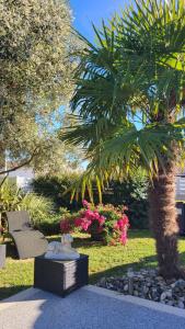a palm tree and a bench in a park with flowers at Brigitte in Saujon