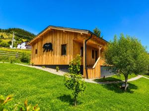 a wooden house in a field of green grass at Casa WEZLY 2 in Măgura +23 photos