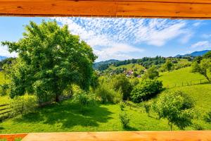 Blick auf eine grüne Wiese mit einem Baum in der Unterkunft Wezly Tiny House in Măgura