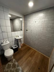 a bathroom with a toilet and a sink and a mirror at Hostal Palguin 261 in Pucón +75 photos