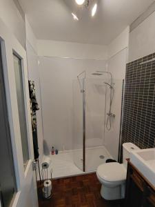 a bathroom with a shower and a toilet and a sink at Alastrean Flat in Aberdeen +35 photos