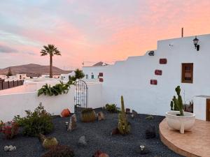 a backyard with cacti and a white building at Casa Joanna Lanzarote in Nazaret