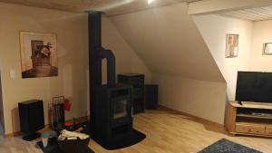 a living room with a fireplace and a tv at Fewo Skjærnsøde in Fjerritslev