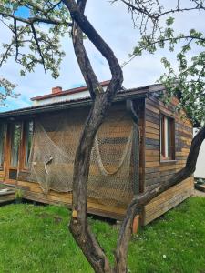 a hammock on the side of a log house at Peaceful Cottage With Garden in Saulkrasti