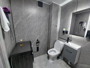 a bathroom with a toilet and a sink at Премиум квартира в современном стиле in Līsakovsk +12 photos