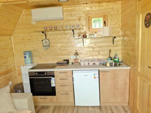 a kitchen with a stove and a sink in a log cabin at Lake house Andrej & Andrea in Kuside
