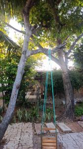 a tree with a blue rope tied to a bench at SPA Alexandre Maia quarto 1 in Juazeiro do Norte +2 photos