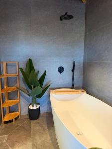 a bath tub in a bathroom with a plant at Rosa Carmel in Dāliyat el Karmil +20 photos