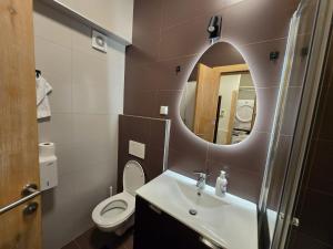 a bathroom with a sink and a toilet and a mirror at Ski & SunDeck in Bjelašnica +13 photos